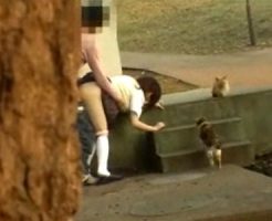 【青姦隠撮動画】野良猫が多数住み着く公園で女子校生カップルがネコに見せつけるように青姦セックスしてる件ｗｗ